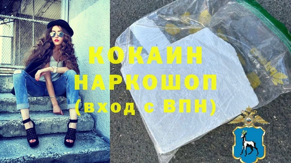 соль ск Бородино