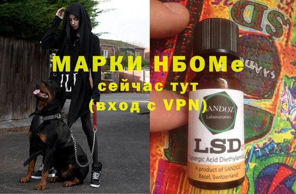 эйфоретик Верея