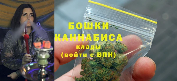 соль ск Бородино