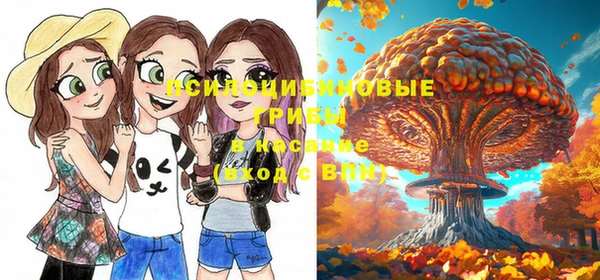 прущие грибы Бугульма