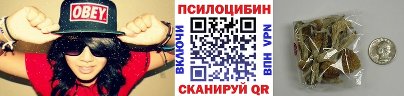 Галлюциногенные грибы Psilocybine cubensis  блэк спрут зеркало  Жирновск  даркнет сайт 